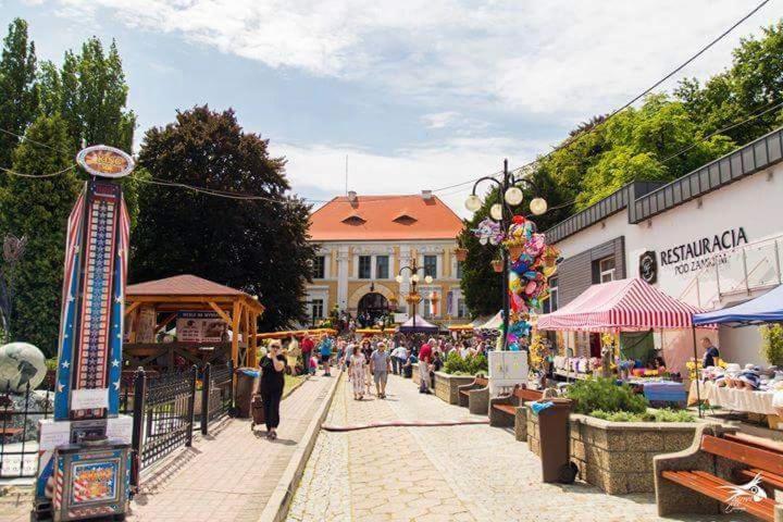 Der Kleine Bauernhof Keine Arbeiter Zadnych Pracownikow Lubiatow (Opole) Exterior foto